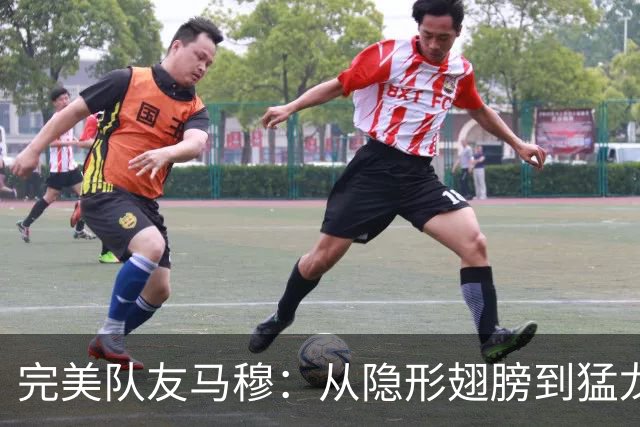 完美队友马穆：从隐形翅膀到猛龙战士的传奇之路