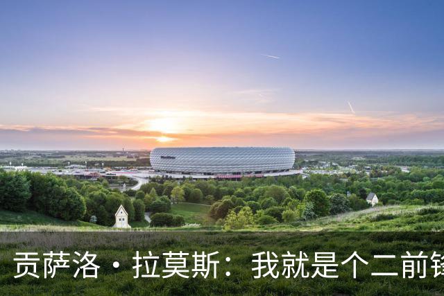 贡萨洛·拉莫斯：我就是个二前锋的“影子忍者