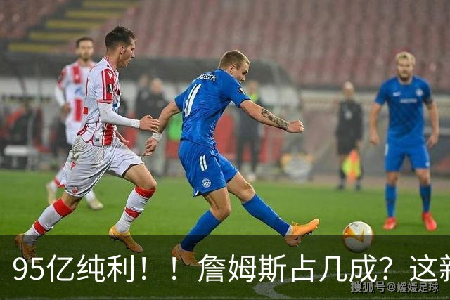 95亿纯利！！詹姆斯占几成？这新业务扩张太快了！